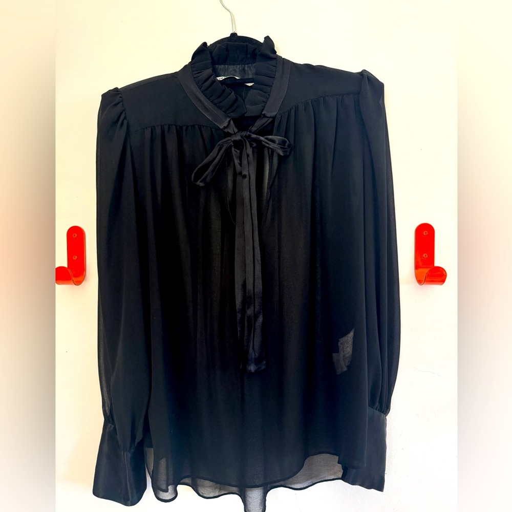 Tie Neck Sheer Blouse
